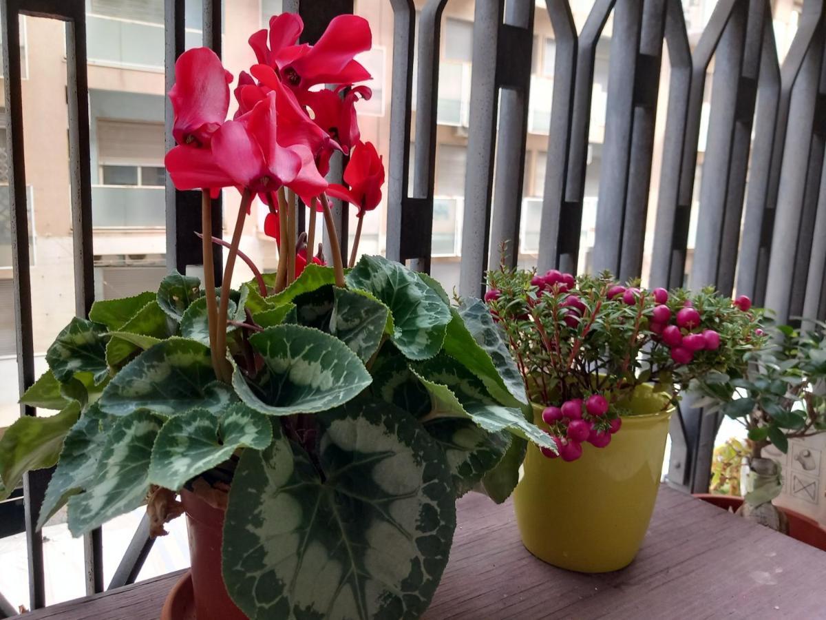 卡塔尼亚La Valigia Sul Letto住宿加早餐旅馆 外观 照片